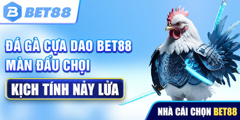 Tìm hiểu chung về đặc điểm cơ bản của đá gà cựa dao