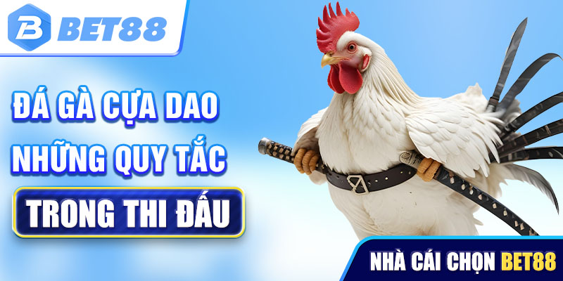 Những quy tắc trong thi đấu Đá gà cựa dao