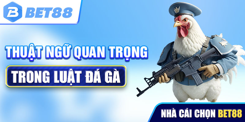 Thuật ngữ quan trọng trong luật đá gà